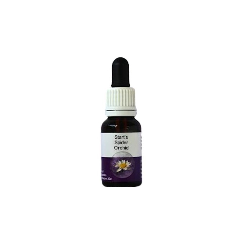 Living Essences Start's Spider 15ml