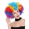 WIG ME UP - PW0011 Afro Wig Afro 70s Rainbow