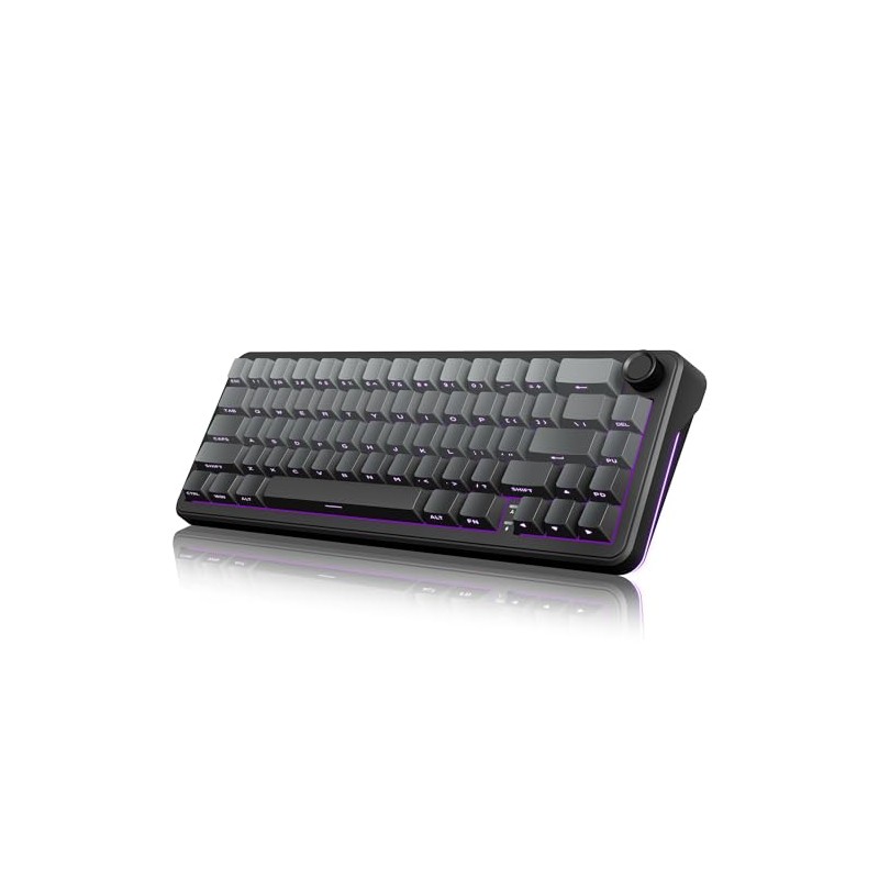 RedThunder K65 Wireless Mechanical Gaming Keyboard, Trip-Modes Connection, Gasket Custom