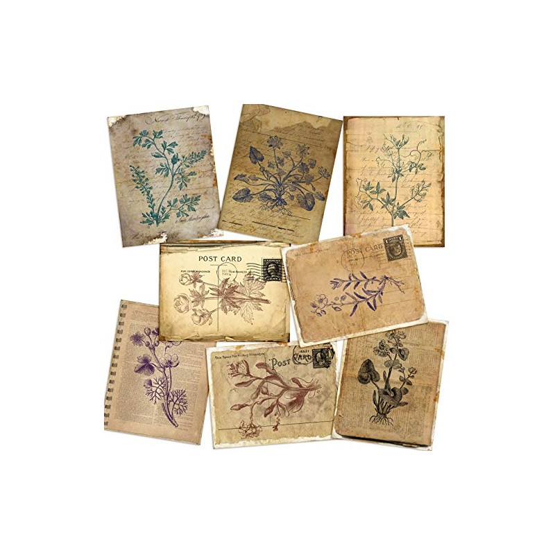 Botanical Journal Paper Pack - EZ Journal 7028