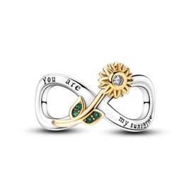 BIZK Women's Charm Pendant for Bracelet 925 Sterling Silver Charm Bead Pendant for European Bracelets and Necklaces, Sterling Silver