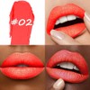 Labial Mate Profesional No Transfiere, Acabado Mate Sedoso que No