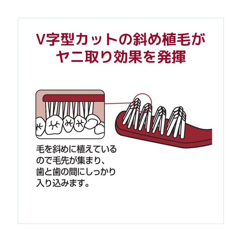 Lark Toothbrushes Regular