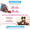 Ashwagandha Gummies - 60 Natural Raspberry Flavoured Chewable & Yummy