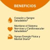 Complejo Sistema Nervioso 120 Cáps 700mg Complex Naturelab Sabor