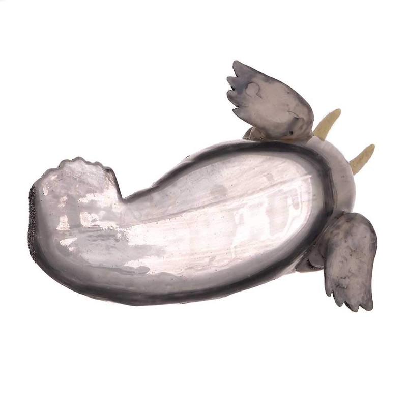 Kurt S. Adler NBX0011 Single Ornament, Gray, Red, White