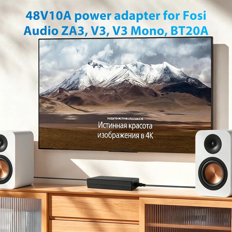 48v 10a/fosi 48v 10a for TPA3255 Stereo Class D Amplifier,