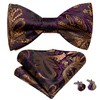 Hi-Tie Men Ties Bowtie Set Silk Necktie Bow Tie Pocket
