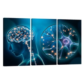LSIUHWUWI Bathroom Wall Decor Human Brain Stimulation or Activity Wall Art Neuron Home Decor 3 Pieces Wall Art for Living Room Dining Room Stretched with Wooden Frame Ready to Hang 20X40X3 INCH