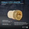 Everflow Supplies BRCPF200-NL 2" Lead-Free Adapter Fitting with a Brass