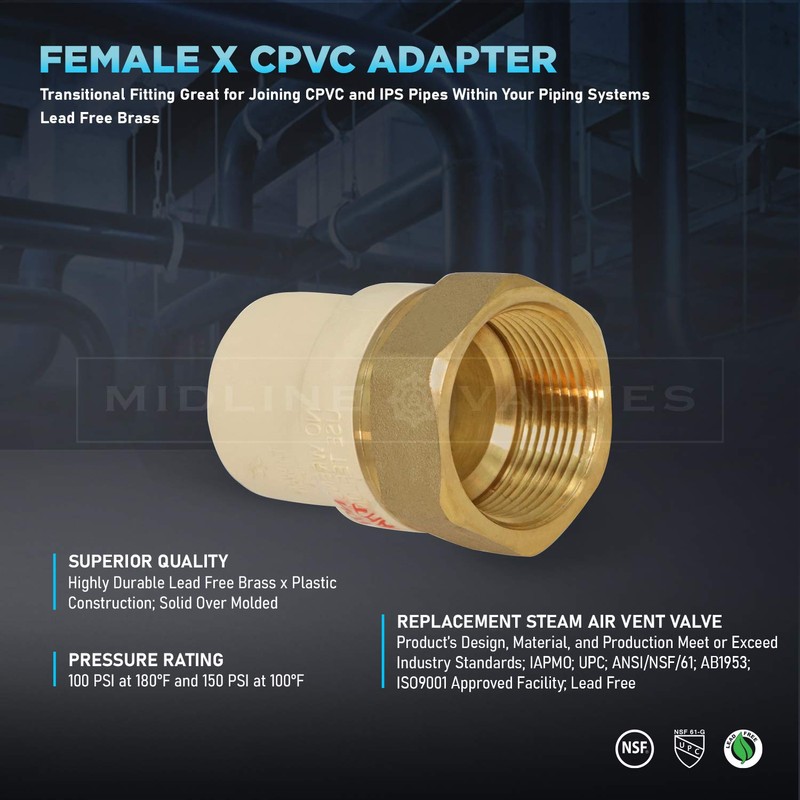 Everflow Supplies BRCPF200-NL 2" Lead-Free Adapter Fitting with a Brass