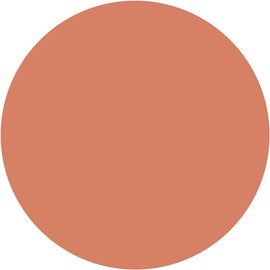 kiss Lip Armor, X02 Corrupt Naked x 1