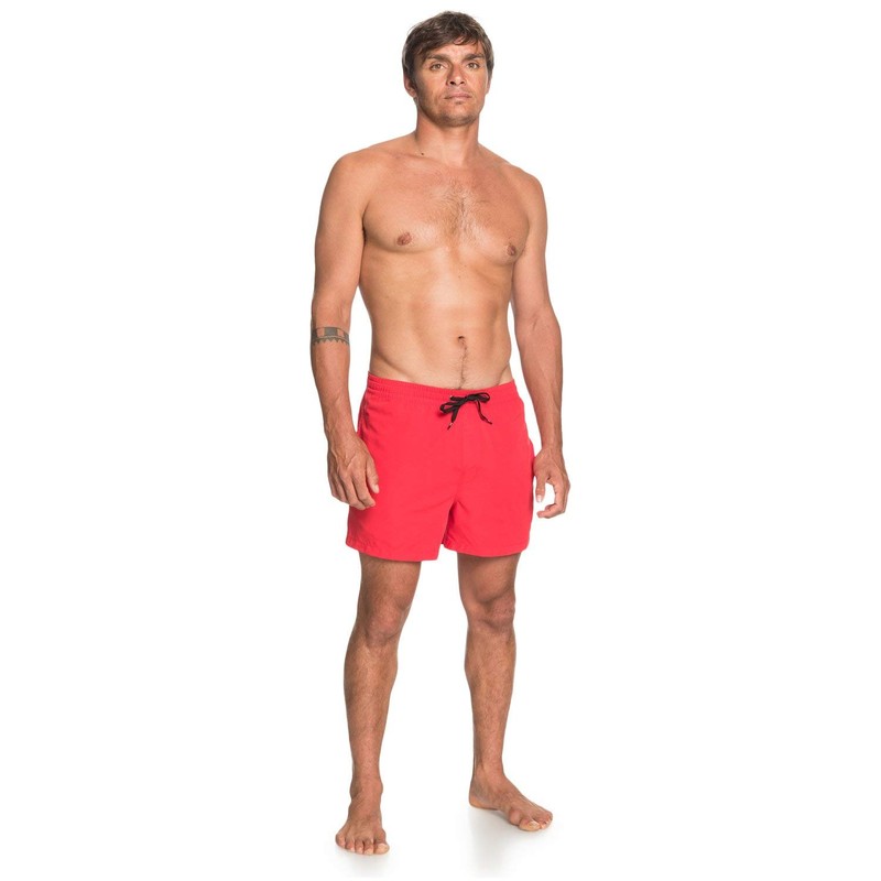 Quiksilver Men's Everyday 38.1-cm Board Shorts