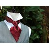 HISDERN Men's Tie Scarf Floral Paisley Ascot Tie Wedding Business