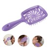 Healvian Portable Detangling Hair Brush for Wet and Dry Use