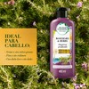 HERBAL ESSENCES Bio:Renew, Acondicionador Rosemary & Herbs, Sin Parabenos ni