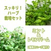 Living Farm LFS-096-1 Hydroponic Cultivation Herbs, Mint and Lemon Balm,