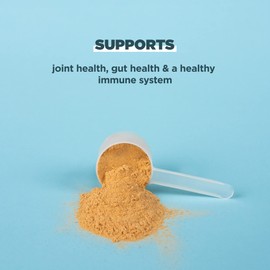 Ancient Nutrition Ancient Nutrition Bone Broth Protein Powder, Salted Caramel, 19g Protein per Serving, Beef, Supports Healthy Skin, Gut Health, Joint Supplement, Gluten Free, Paleo and Keto Friendly, 20 Servings