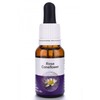 Living Essences Rose Coneflower 100ml