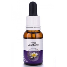 Living Essences Rose Coneflower 100ml