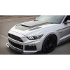 Mustang 2x Mustang Roush P-51 Jet Side Fender Emblem Badge