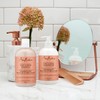 Shea Moisture Shea Moisture Coconut & Hibiscus Curl & Shine
