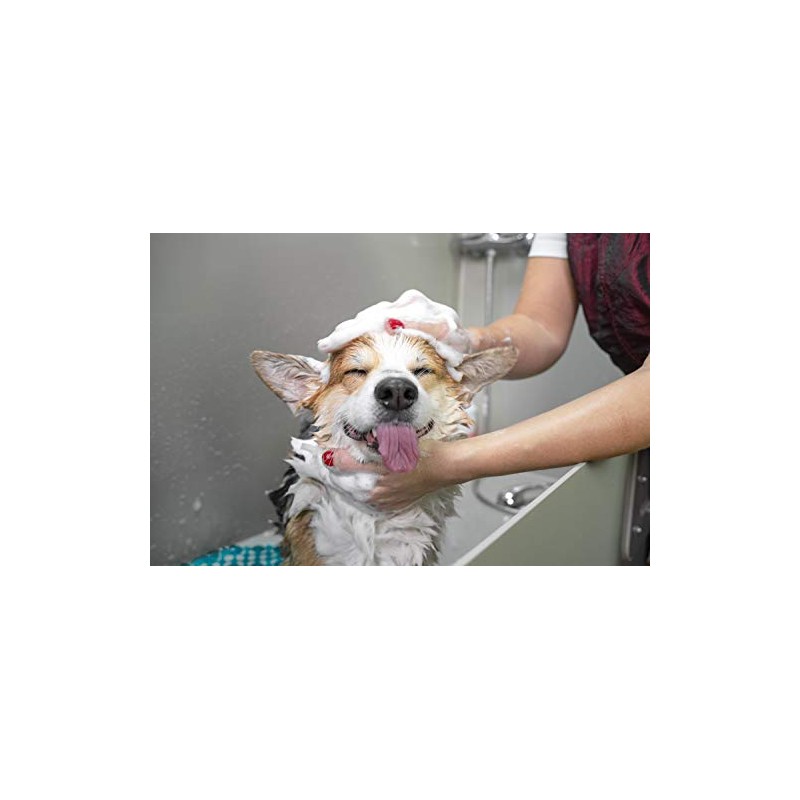 GROOMER ESSENTIALS Premium Arm