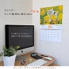 Active Corporation 2026 Calendar Wall-mounted Because It's a Cat, Isn't