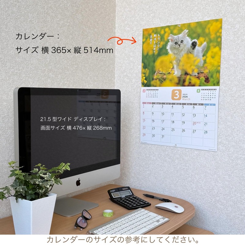 Active Corporation 2026 Calendar Wall-mounted Because It's a Cat, Isn't