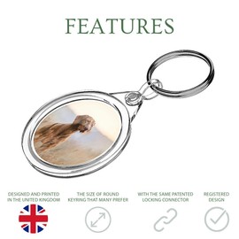 Destination Vinyl Keyrings 1 x Hungarian Pointer Vizsla Dog - Keyring IR02 Mum Dad Kid Birthday #12566