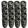 Vanlison 1218 Drop-In Valve Springs, 16 Pack Beehive Springs Set