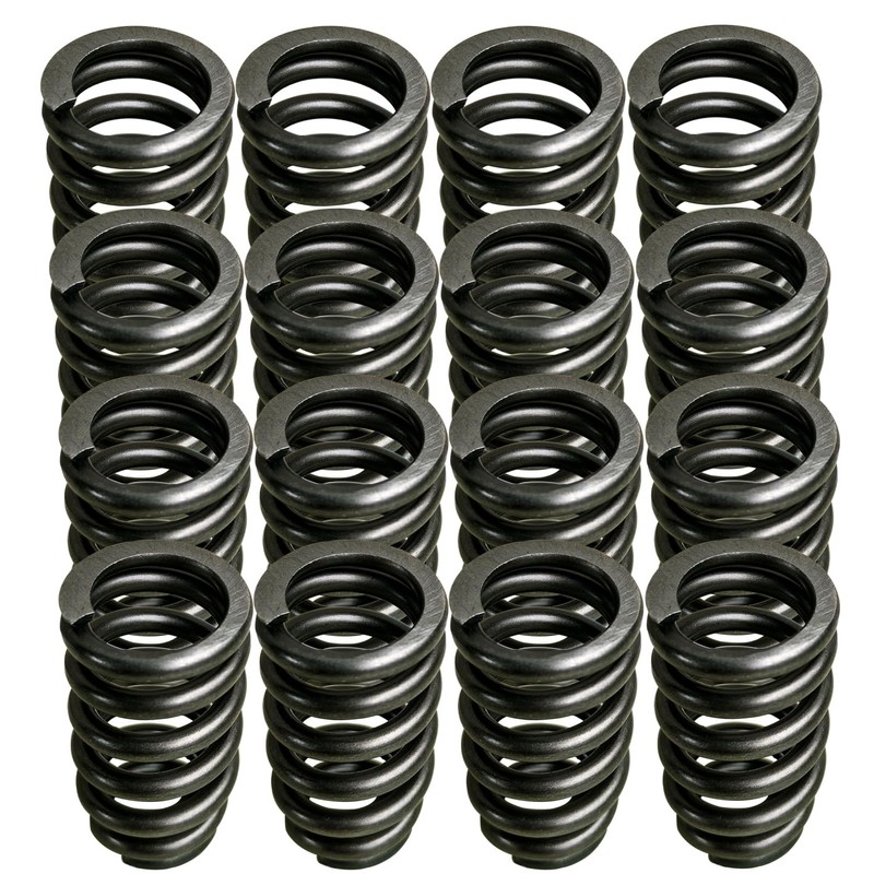 Vanlison 1218 Drop-In Valve Springs, 16 Pack Beehive Springs Set