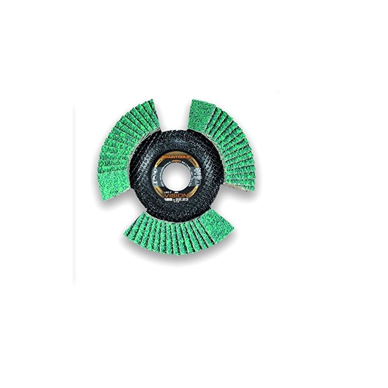 Rhodius Vision 115mm Disc 60 Grit