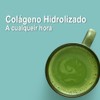 COLAGENO HIDROLIZADO CON MATCHA FUJIRO EN POLVO 30 DIAS