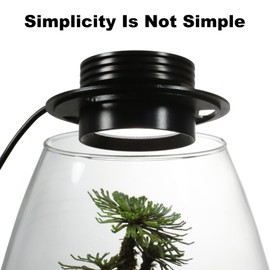 AREPK Glass Terrarium Plant Growing Lamp, for Vases Up to 4 Inches in Diameter, Light with Timer Auto On/Off, Indoor Plant Growth, Succulent, Miniature Gardening Landscape (5W 4IN)