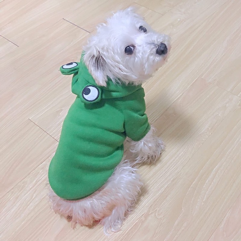 Pet Clothes, Dogs Hooded Sweatshirt Fruit Warm Coat Sweater Cold