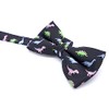 Carahere Men's Bow Ties Pre-Tied Adjustable Fun Pattern Bow Ties