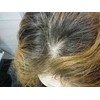 フェニックス マイ・ヘアー レディ (8g) ブラウン