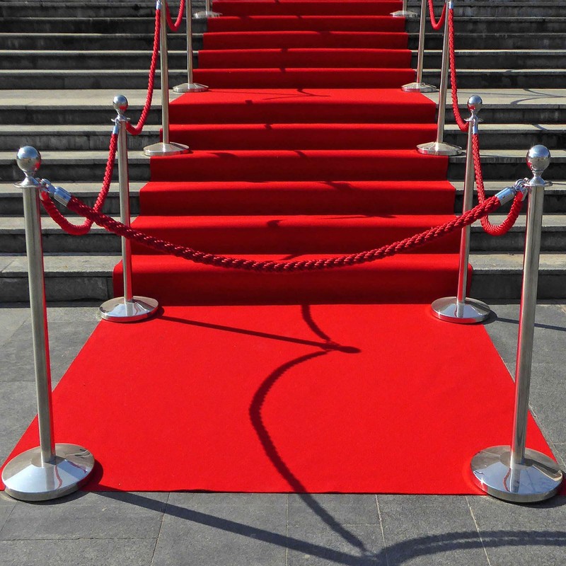 PATIKIL Stanchion Rope, 1.5m/5Ft Barrier Rope Twisted Post Ropes with