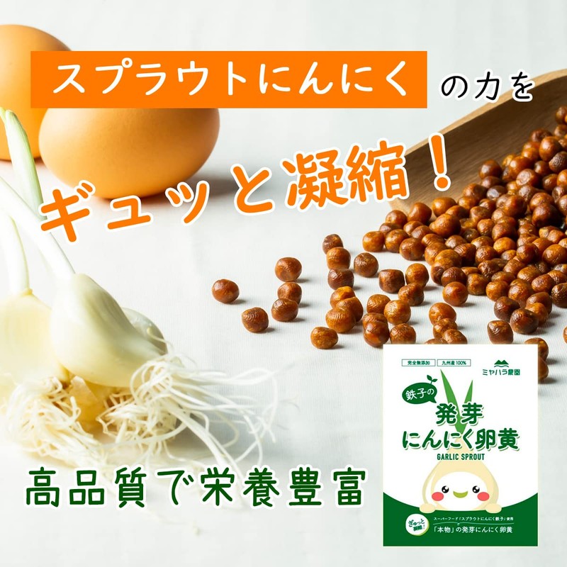 鉄子の発芽にんにく卵黄 40粒入 10日分 お試し 完全無添加 佐賀県産 スプラウトにんにく 有精卵 ミヤハラ農園