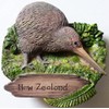 Kiwi NEW ZEALAND Resin 3D fridge Refrigerator Thai Magnet Hand