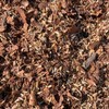 Duplex, Soil Aeration Mix, Duo of Ingredients for Indoor or