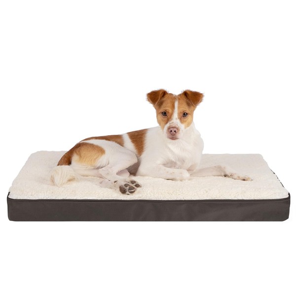Best Pet Supplies Cute Dog Crate Mat Flat Bed with