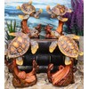 Ebros Gift Set of 4 Ocean Voyage Exploring Sea Turtles