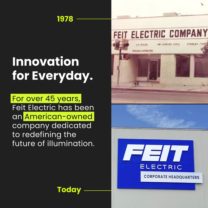 Feit Electric 4ft LED Dual Lamp Shop Light, 4500 Lumens,