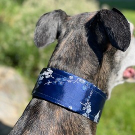 SightHound Gang Extra Soft Martingale Dog Collar for Greyhound Saluki Whippet and Other Breeds with Similar Neck 2"" Wide (XL 17""-22""), blue