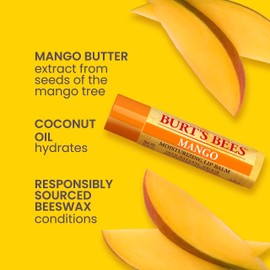 Burt's Bees Burt's Bees Lip Balm Stocking Stuffers, Moisturizing Lip Care Christmas Gifts, SuperFruit - Pomegranate, Coconut & Pear, Mango, Pink Grapefruit, Natural Origin Treatment (4-Pack)