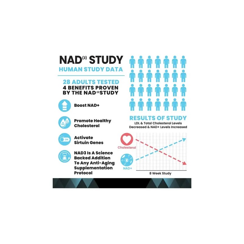 NAD Nicotinamida Adenina Dinucleótido High Performance Nutrition 100ml