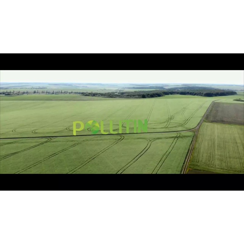 Pollitin Pollinal Nutraceutical Dietary Supplement Graminex Rye Grass Pollen Extract