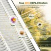 DBFIT Replacement Filter for AP2410 Air Purifier – 2-in-1 Air